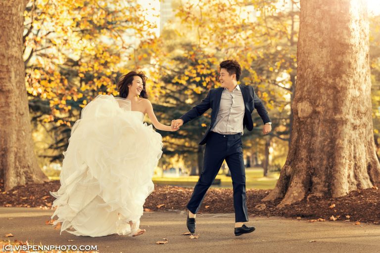 PRE WEDDING Photography Melbourne VISPENN 墨尔本 婚纱照 结婚照 婚纱摄影 5D1 3003