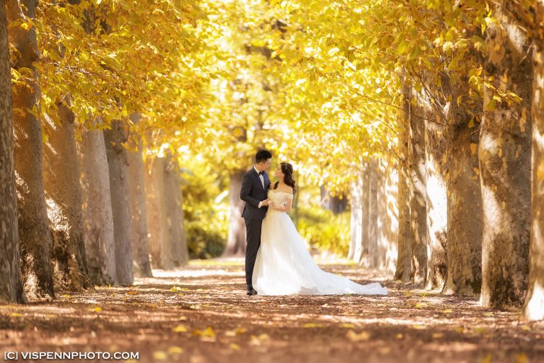 PRE WEDDING Photography Melbourne VISPENN 墨尔本 婚纱照 结婚照 婚纱摄影 AndyCHEN 1360 1DX VISPENN