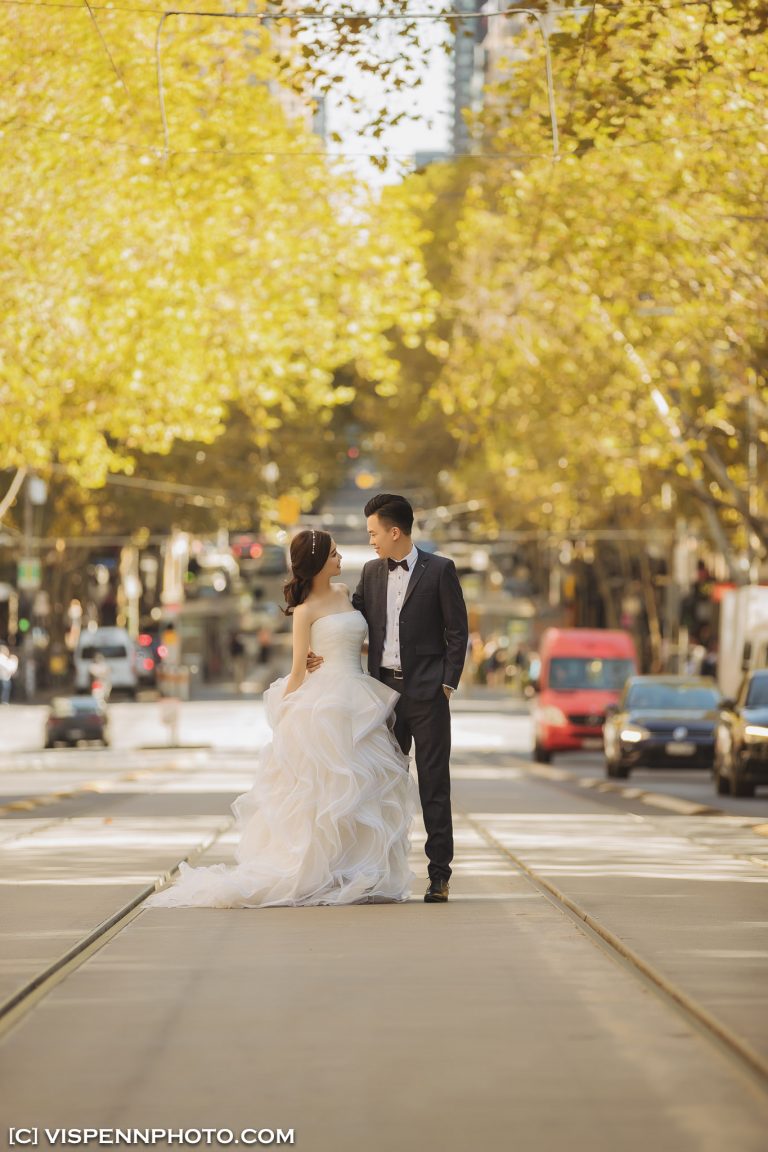 PRE WEDDING Photography Melbourne VISPENN 墨尔本 婚纱照 结婚照 婚纱摄影 AndyCHEN 3554 1DX VISPENN