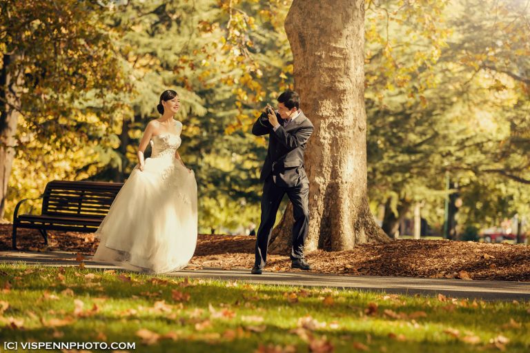 PRE WEDDING Photography Melbourne VISPENN 墨尔本 婚纱照 结婚照 婚纱摄影 FrankHu 0323