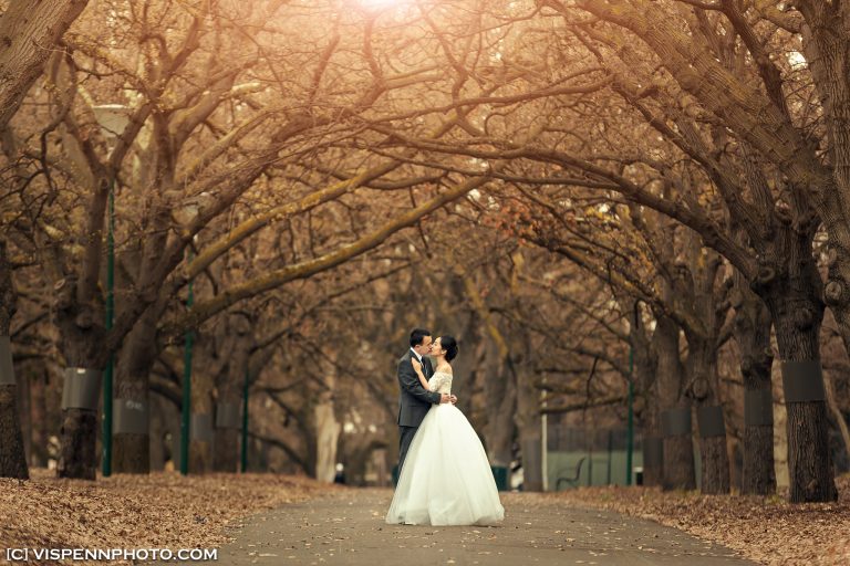 PRE WEDDING Photography Melbourne VISPENN 墨尔本 婚纱照 结婚照 婚纱摄影 VISPENN XXD 0055