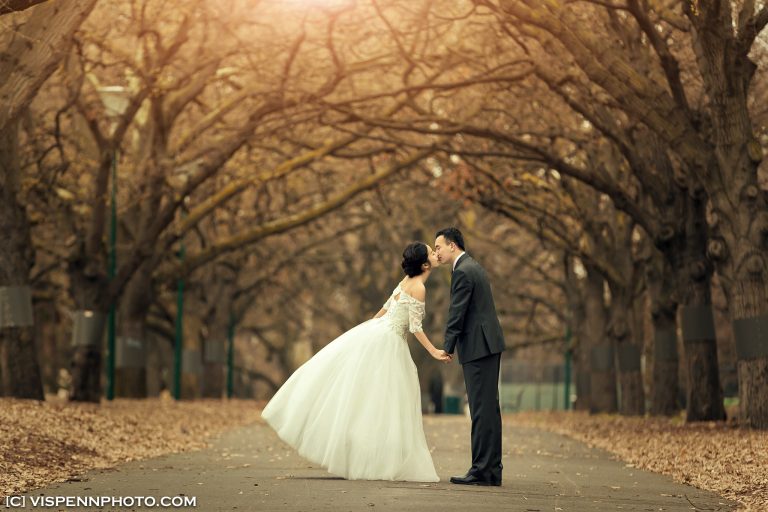 PRE WEDDING Photography Melbourne VISPENN 墨尔本 婚纱照 结婚照 婚纱摄影 VISPENN XXD 0476