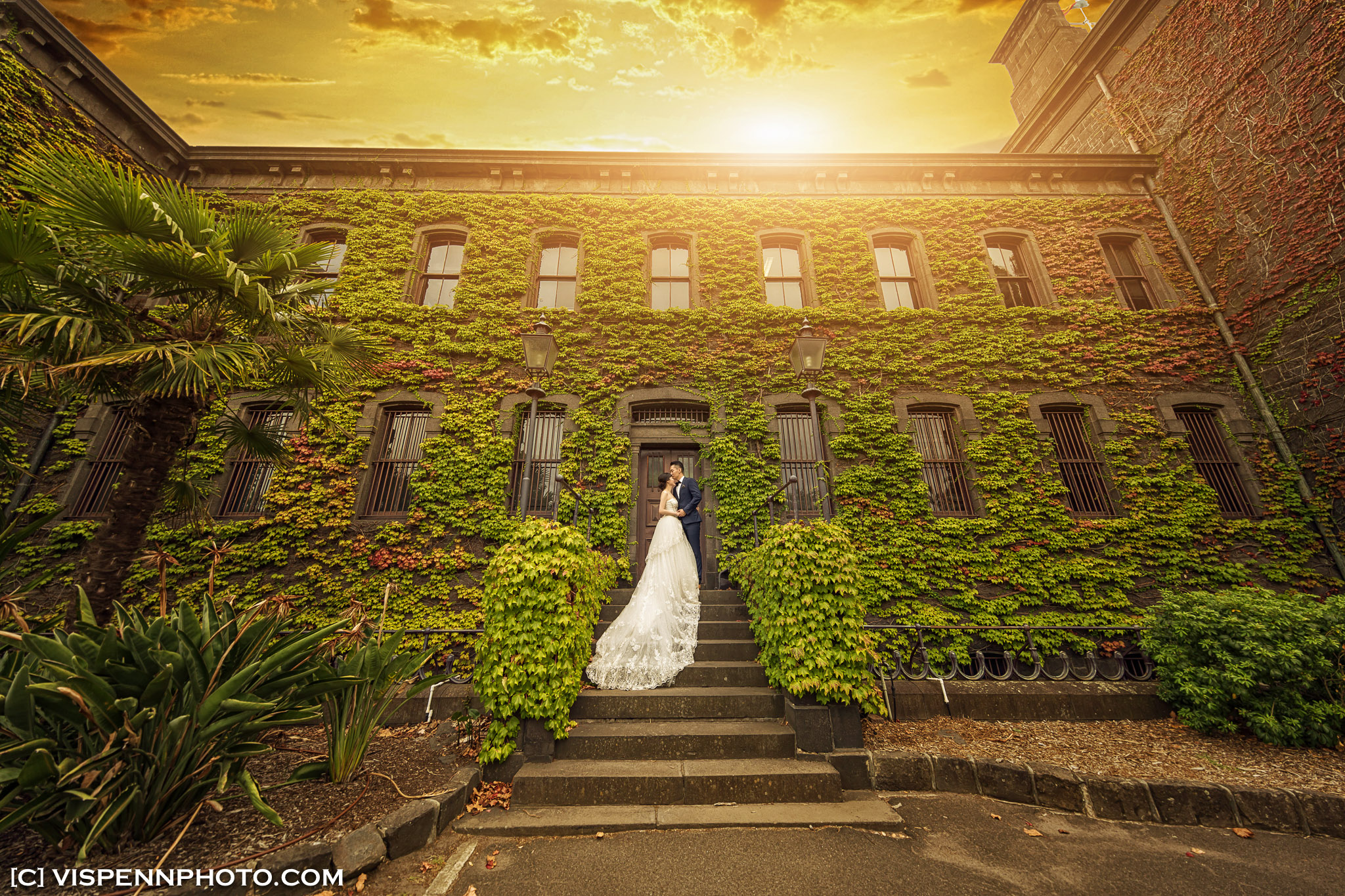 PRE WEDDING Photography Melbourne VISPENN 墨尔本 婚纱照 结婚照 婚纱摄影 VISPENN ZhouWenPreWedding 8727 1