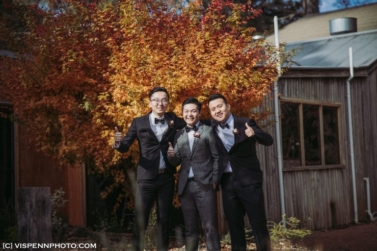 WEDDING DAY Photography Melbourne VISPENN 墨尔本 婚礼跟拍 婚礼摄像 婚礼摄影 结婚照 登记照 DominicHelen 1P 1905 EOSR VISPENN