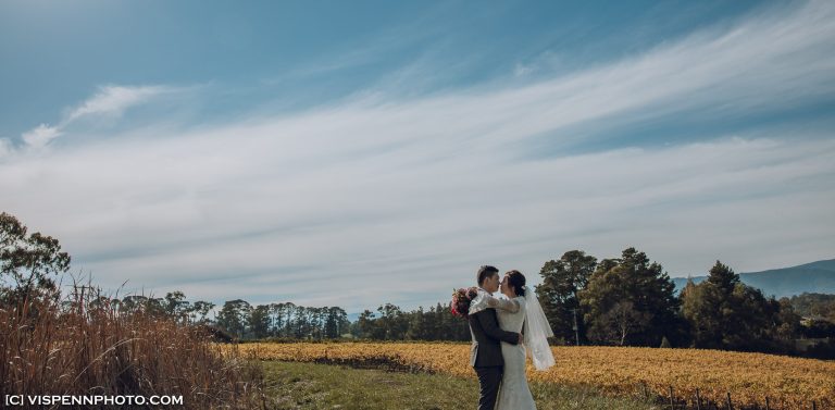 WEDDING DAY Photography Melbourne VISPENN 墨尔本 婚礼跟拍 婚礼摄像 婚礼摄影 结婚照 登记照 DominicHelen 1P 3933 EOSR VISPENN