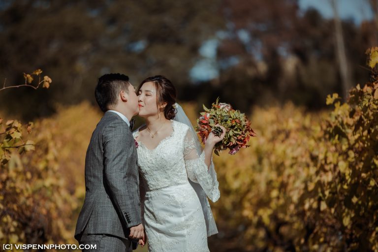 WEDDING DAY Photography Melbourne VISPENN 墨尔本 婚礼跟拍 婚礼摄像 婚礼摄影 结婚照 登记照 DominicHelen 2P 5965 1DX2 VISPENN